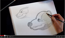 metz_video2